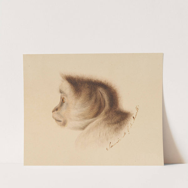 Affe (1810) by Gottfried Mind