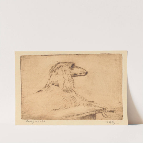 Afghaanse windhond (1888-1934) by Willem Adrianus Grondhout