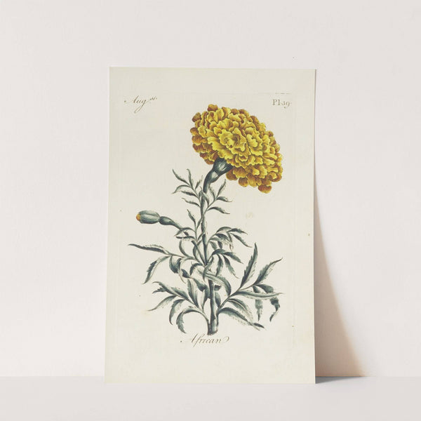 African by Carington Bowles