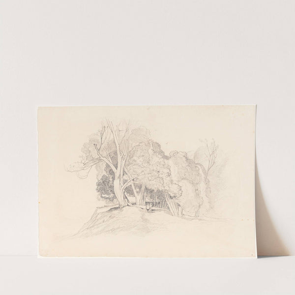 after John Sell Cotman, Landscape with Trees by British 19th Century