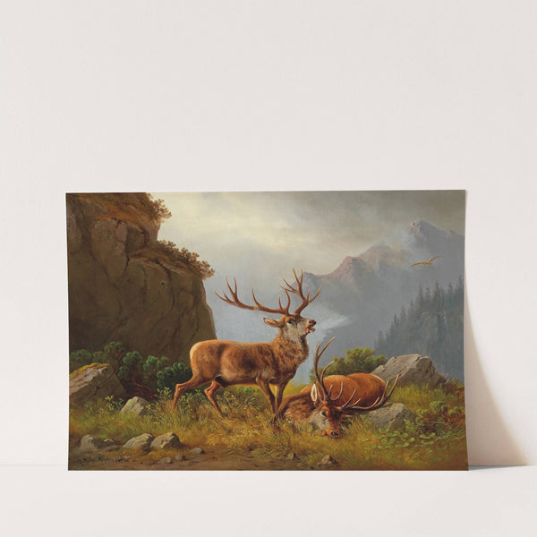 After the Fight (1874) by Moritz Müller