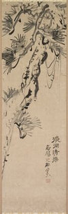 Aged Pine (1717–1780)