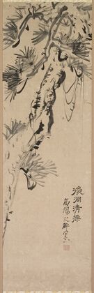 Aged Pine (1717–1780)