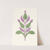 Agreeable Contrast of Plum-Violet and Sage-Green by James Ward