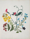 Album of cut-paper flowers Pl.01