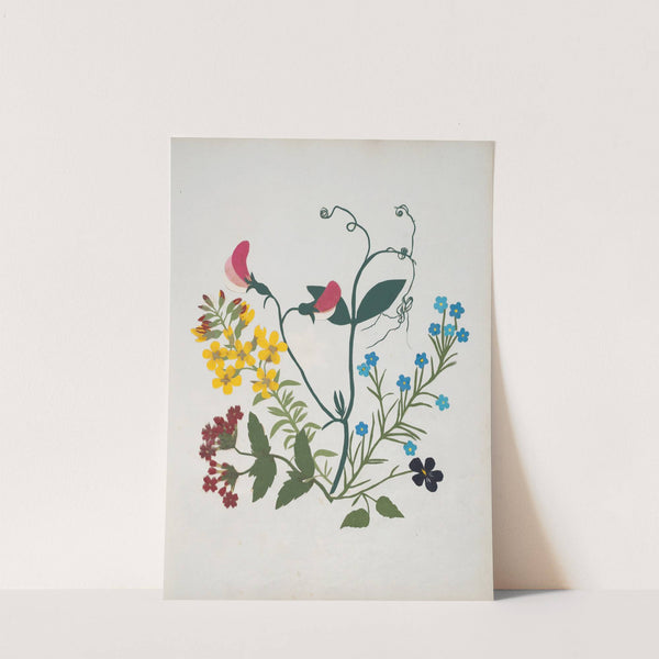 Album of cut-paper flowers Pl.01 by Ellen W.