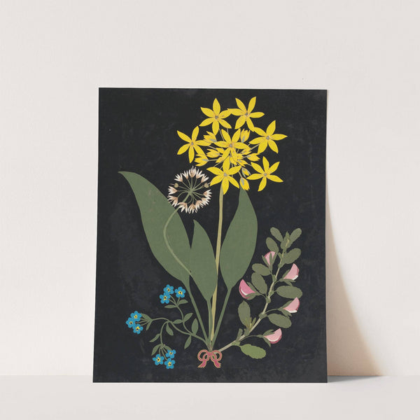 Album of cut-paper flowers Pl.04 by Ellen W.