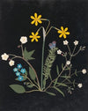 Album of cut-paper flowers Pl.06