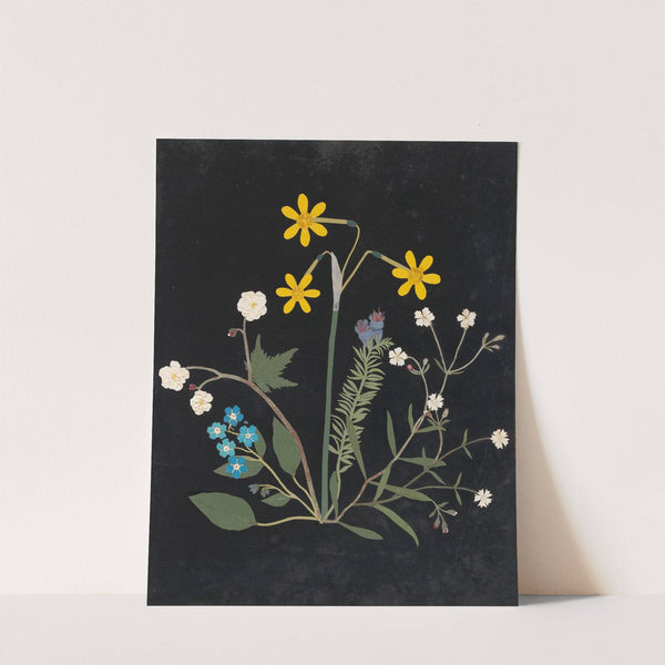 Album of cut-paper flowers Pl.06 by Ellen W.