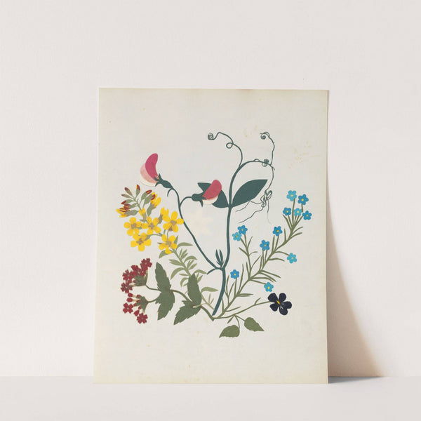 Album of cut-paper flowers Pl.09 by Ellen W.