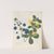Album of cut-paper flowers Pl.12 by Ellen W.