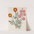 Album of cut-paper flowers Pl.17 by Ellen W.