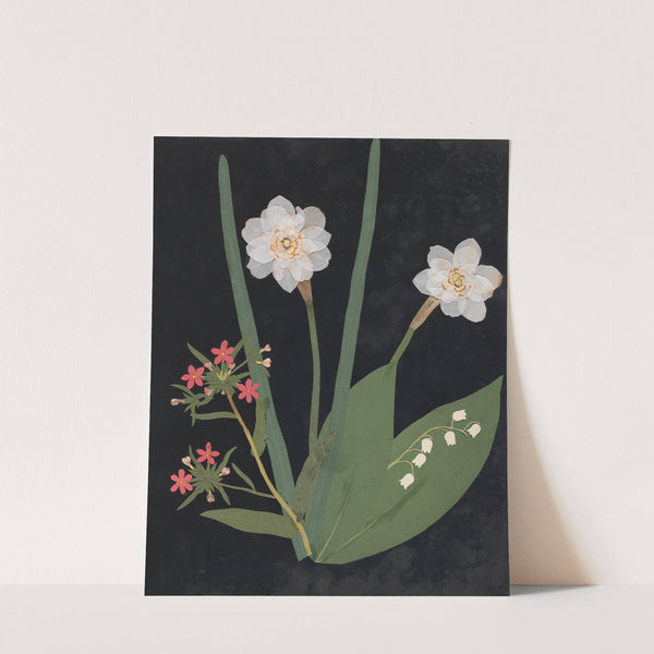 Album of cut-paper flowers Pl.18 by Ellen W.