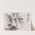 Album of Paintings by Haizan Pl.11 (late 1800s-early 1900s) by Yoshitsugu Haizan