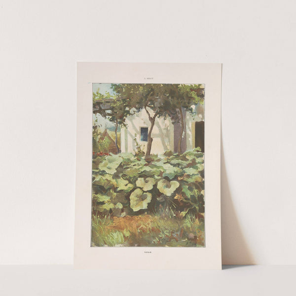 Album salón Pl.57 by Miguel Seguí (Publisher)