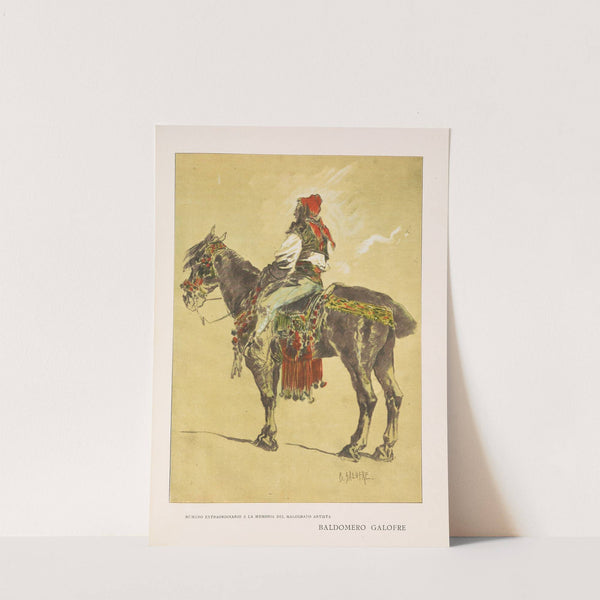 Album salón Pl.69 by Miguel Seguí (Publisher)