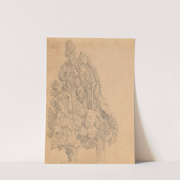 Album with Views of Rome and Surroundings, Landscape Studies, page 13a: Trees by Franz Johann Heinrich Nadorp