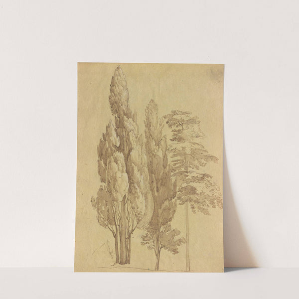 Album with Views of Rome and Surroundings, Landscape Studies, page 15a: Trees by Franz Johann Heinrich Nadorp