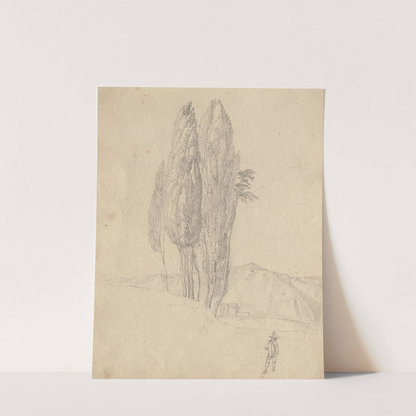 Album with Views of Rome and Surroundings, Landscape Studies, page 20a: Trees by Franz Johann Heinrich Nadorp