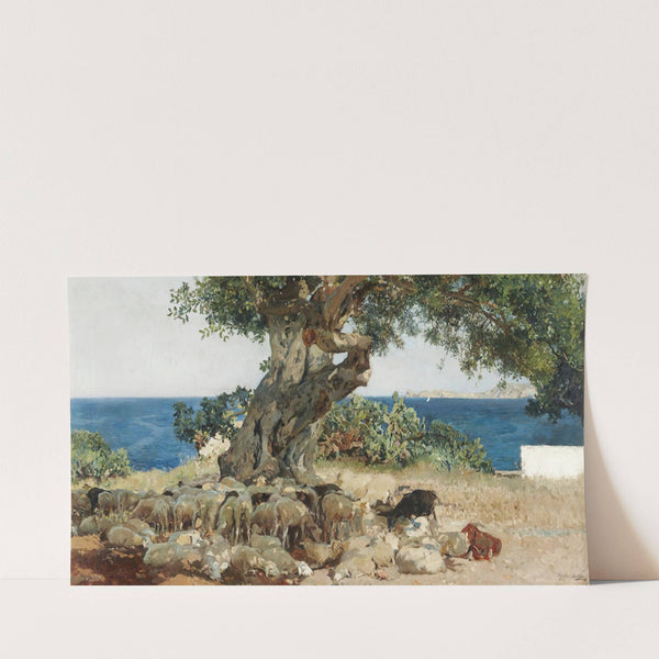 Algarrobo (The Carob Tree) (1899) by Joaquín Sorolla