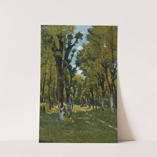 Allé Des Tilleuls À Saint Prive, Yonne (Sunlit Woodland Path) (1887) by Henri-Joseph Harpignies