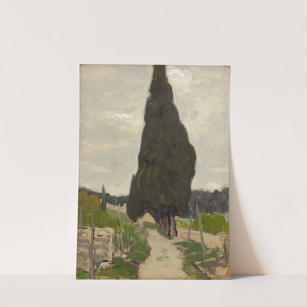 Allée de Cyprès by Alfred Lesbros