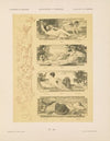 Allegorien und Embleme Vol. I Pl.028