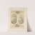 Allegorien und Embleme Vol. I Pl.030 by Albert Ilg