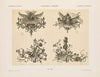 Allegorien und Embleme Vol. I Pl.076