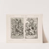 Allegorien und Embleme Vol. II Pl.055 by Albert Ilg