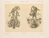 Allegorien und Embleme Vol. II Pl.084