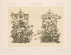 Allegorien und Embleme Vol. II Pl.090