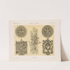 Allegorien und Embleme Vol. II Pl.149 by Albert Ilg