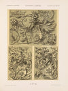 Allegorien und Embleme Vol. II Pl.165