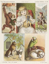 Allerlei vrienden (1875-1919)