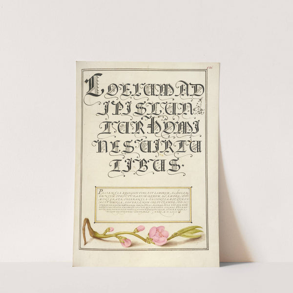 Almond in Flower (1561–1596) by Joris Hoefnagel