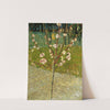 Almond tree in blossom by Vincent van Gogh