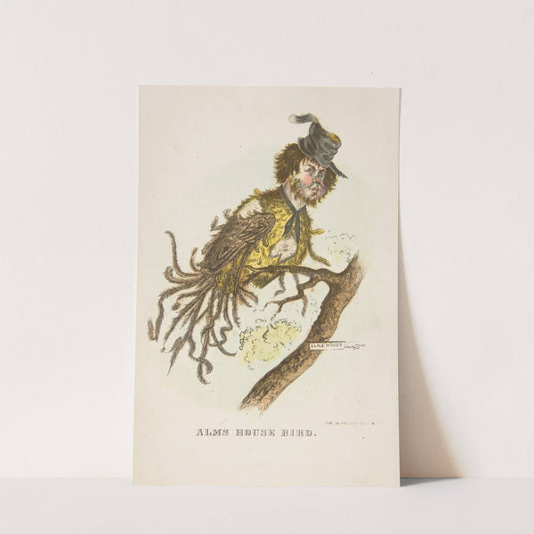 Alms House Bird (1851) by Henry Louis Stephens