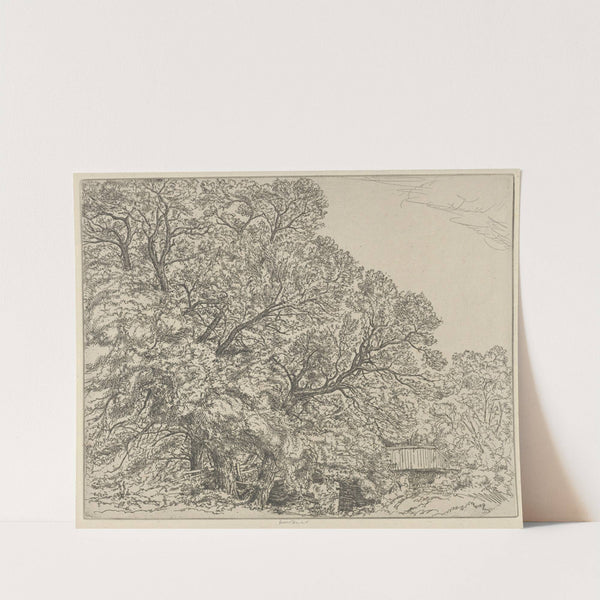 Alna Willows (1924) by Ernest Haskell