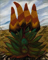Aloes (ca. 1935-1938)