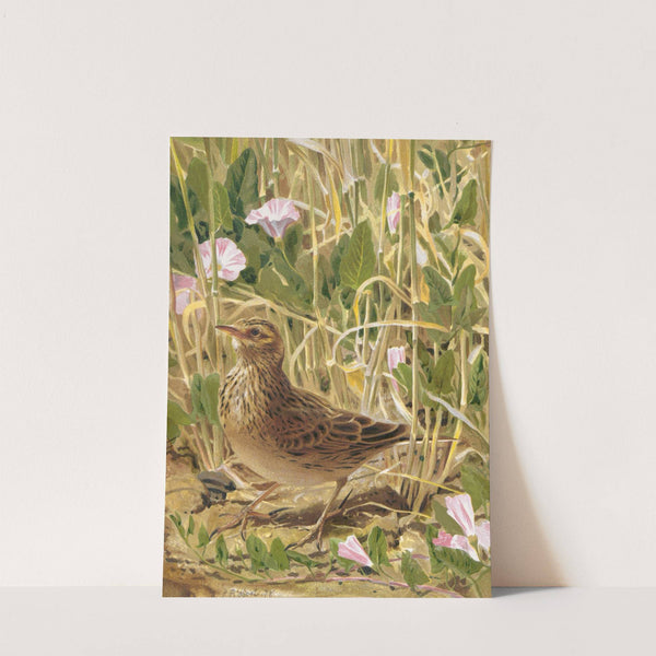 Alouette by Léo-Paul Robert