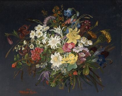 Alpenblumen