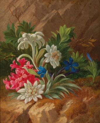 Alpenblumen
