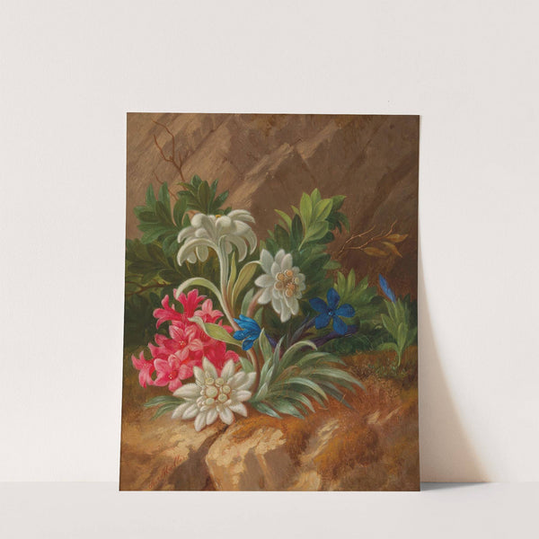 Alpenblumen by Anton Mollis