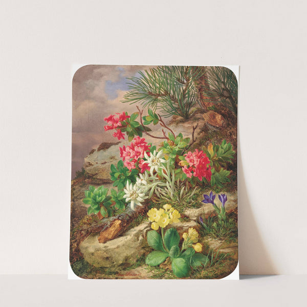 Alpenblumen by Josef Lauer