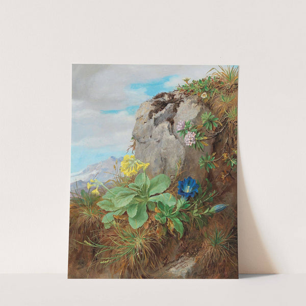 Alpine Flowers by Anna Stainer-Knittel