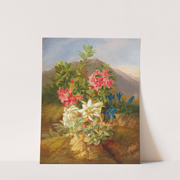 Alpine Flowers by Josef Schuster