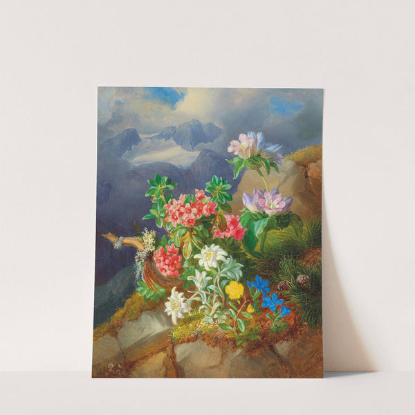 Alpine flowers by Andreas Lach