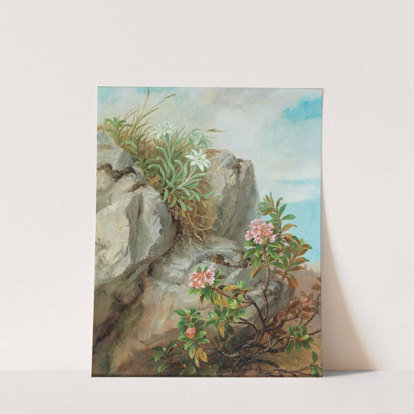 Alpine Roses by Anna Stainer-Knittel