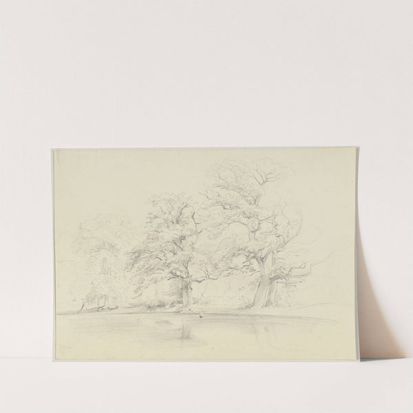 Alte Bäume an einem Gewässer by Jakob Becker